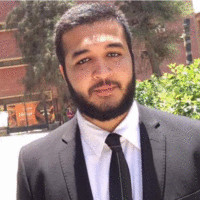 Hesham Abdelnaby