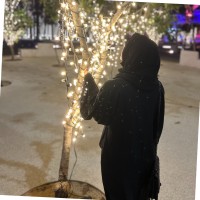 Fatima Ayreen