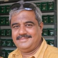 Viswanathan Krishnan