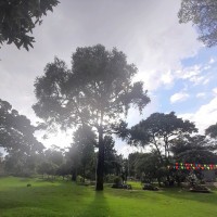 juan david andrade baron