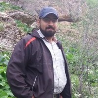 iman pakar
