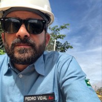 Pedro Henrique Vidal