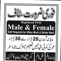 Job Opportunity