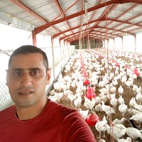 jihad abi samra