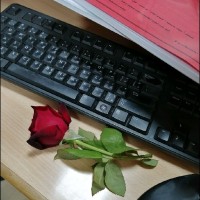 أنوار أبوهلاله