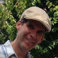 Stephen Palm