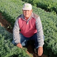 Mohamed Elzaidy