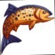 Jean Salmon