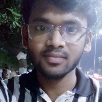 Ashish Raulo