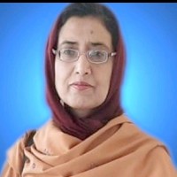 Wajida Naveed