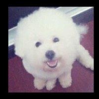 吕伟涛