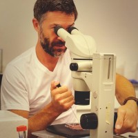 Nicolás Mucci