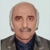 Sayed Mehdi Sadat