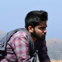 Vipin V W