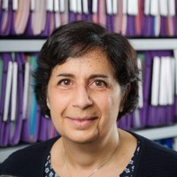 colette Schmitt