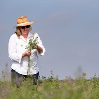 Joselina Ramonda Ponzi