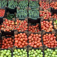 Azienda agricola bio Belanes