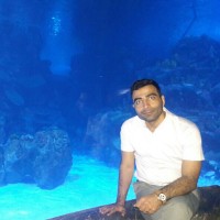 Hossein Amravi