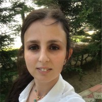 Merve Kurt
