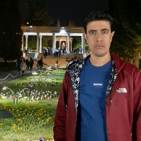 Majid Safian