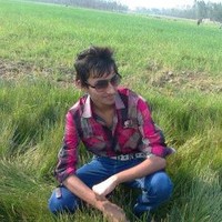 Faizan Ali
