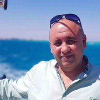 Ayman Abdel Moanem
