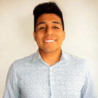 Ricardo Roy Ramirez Sanchez
