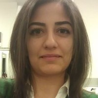 hande özer