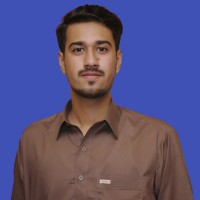 Hassan Malik