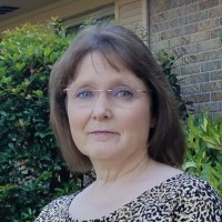 Robin Meeks, Cpa, Cisa, Cfe