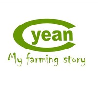 YEAN ,