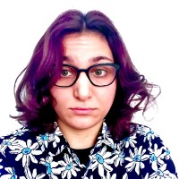 lainie diskin