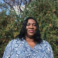 Oluwatoyin Odumakin