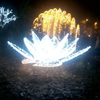 François Le Chevalier