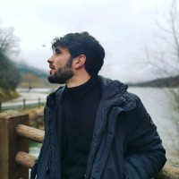 Federico Ranaldi