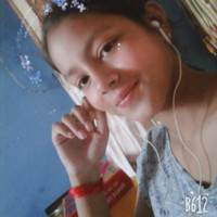 Pipi Msp