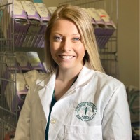 Allison Burress
