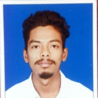 Sronit Biswal