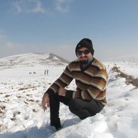 Mohammad Afkhami
