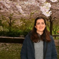 Niloofar G.