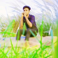 Md. Islam Hossain