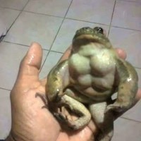 彭耀文