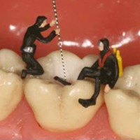 Lulú Franco Gutierrez