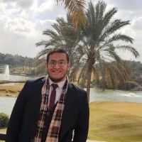 Moustafa Elsaeed