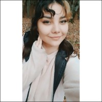Parisa Pourmohammad