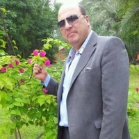 Hassan Moukhtar