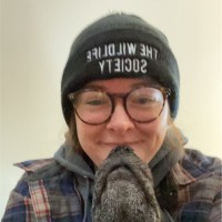 Katie Trebilcock
