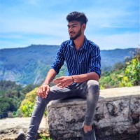 Vignesh Dinakaran