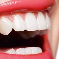 Eliana Lopez  Orellana