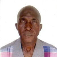 joseph adeyemi